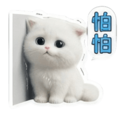 2026 Cute little white cat