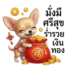 ชิวาว่า, เฮงๆจ้า