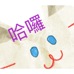 可愛貓貓12345678