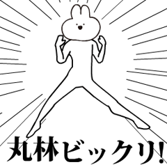 Rabbit Name marubayashi.moves!