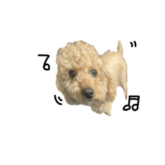 NATSUMI_20260119144025