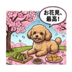 AMIty_20260119123433