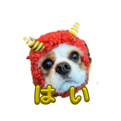 asaka_20260119201505