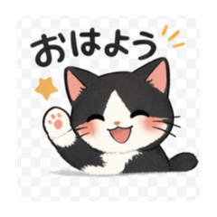 Coco Studio_20260119201154