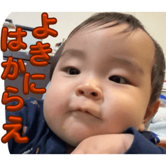 Hakuna Matata_20260119215725