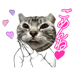 muramayu_20260119213438