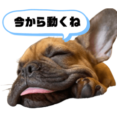 1chan_20260119203033