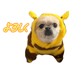 kawaisugiru_20260119225925