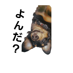 kasumisou_20260119230239