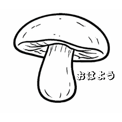 black and white kinoko