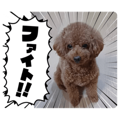 kento_20260119230755