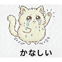 Wanwan shugar_20260119174243