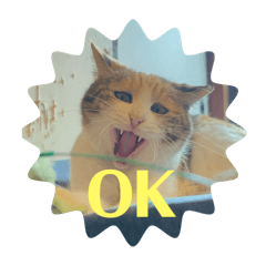 asako_20260119214323