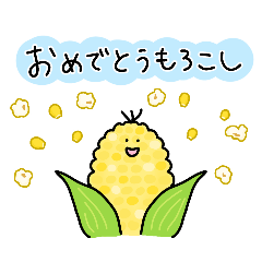 iroca_20260119140044