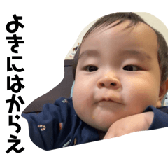 Hakuna Matata_20260119183825