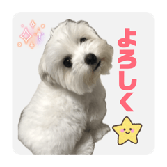 komugi_20260119221136