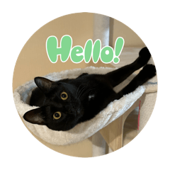 KONITAN_20260119183715