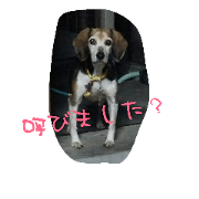 fukutanstanp