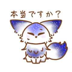 shirono_20260117203147