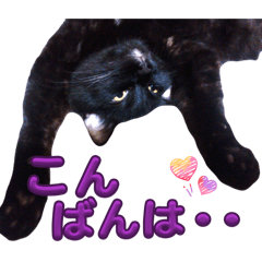 manaboo_20260119133708