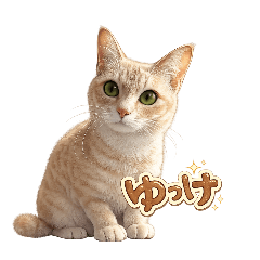 Ikoisin_20260119151959