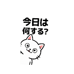 シロネコ　シロちゃんと仲間たち　お伺い編