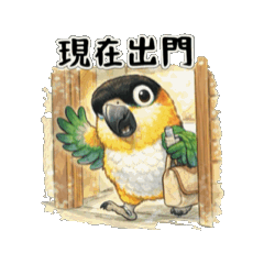 黑頭凱克～5素描風