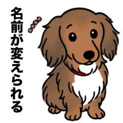 名前入りダックスシェーデッドレッド③