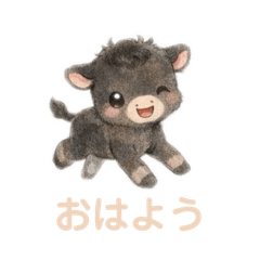 momo_20260119234634