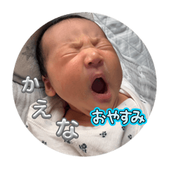 masa_20260119234106