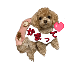 kumasan_20260120030159