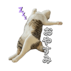 NONAME_20260119182814