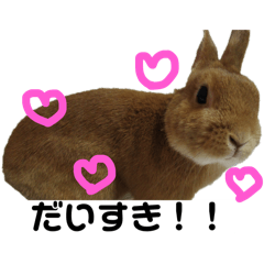 yuria_20260119181805