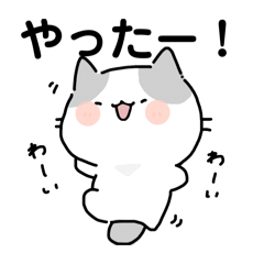 Pioneko_20260119182938