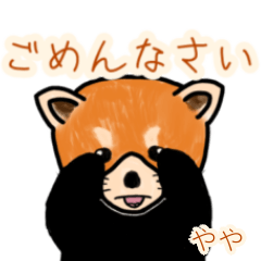 Yaya's lesser panda