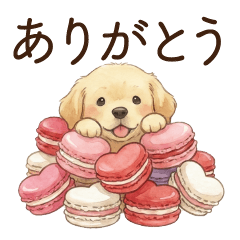 Golden Retriever(often used)(sweets)
