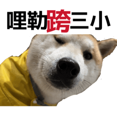 平狗豬