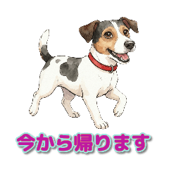keikatsu_20260117212015