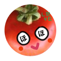 tomato san