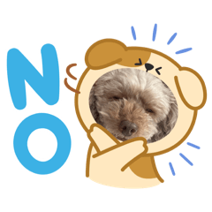 koume5555_20260120001237