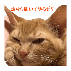 YUKA_20260119161211