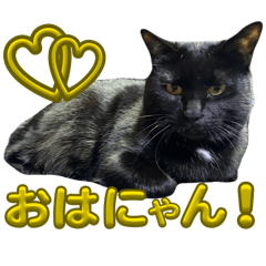 manaboo_20260119151639