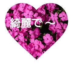 sakura-saku2