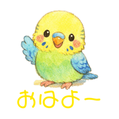 momo_20260120000346