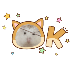 great_20260119170742