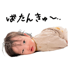 aoiro_20260119171600