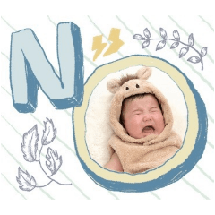 iceice_20260119233103