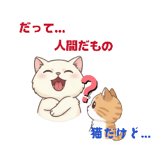 tsumu_20260119231942