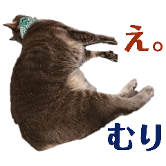 uchinoToranoiukotoniha