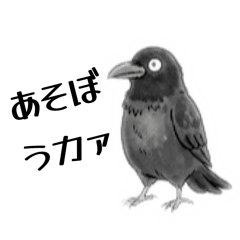 HinotoHtsuji_20260119crow